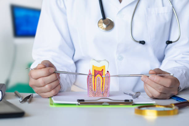 Best Emergency Broken Tooth Repair in Stillwater, MN
